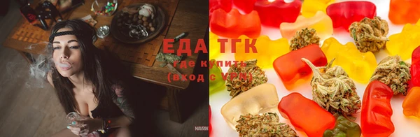 стаф Новозыбков