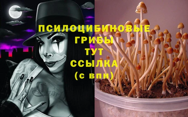 индика Нягань