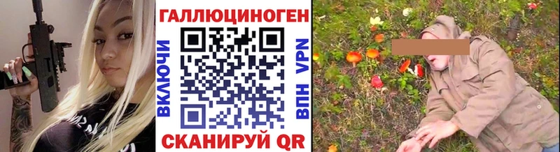закладка  Анапа  Галлюциногенные грибы Cubensis 