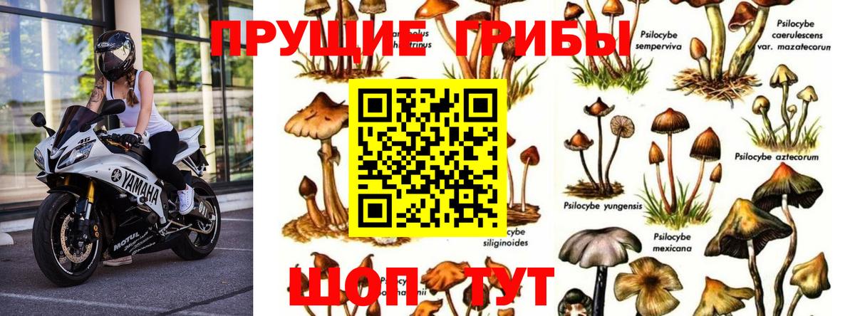 Анапа  Галлюциногенные грибы мухоморы  Вход с VPN 